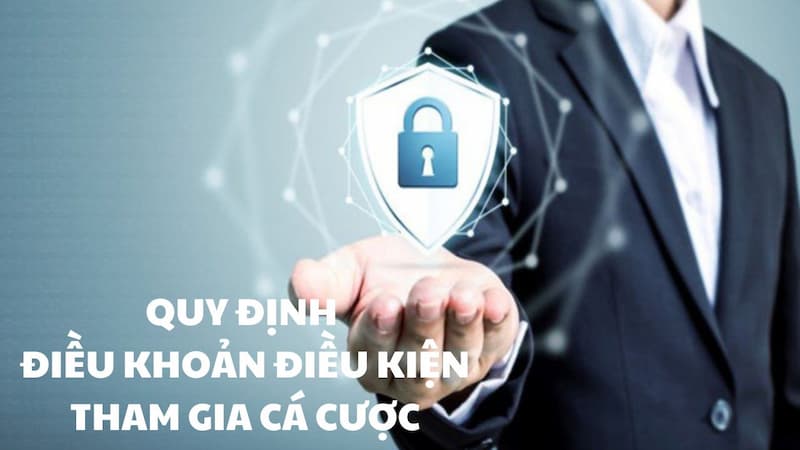 Các nội dung chính trong điều khoản sử dụng