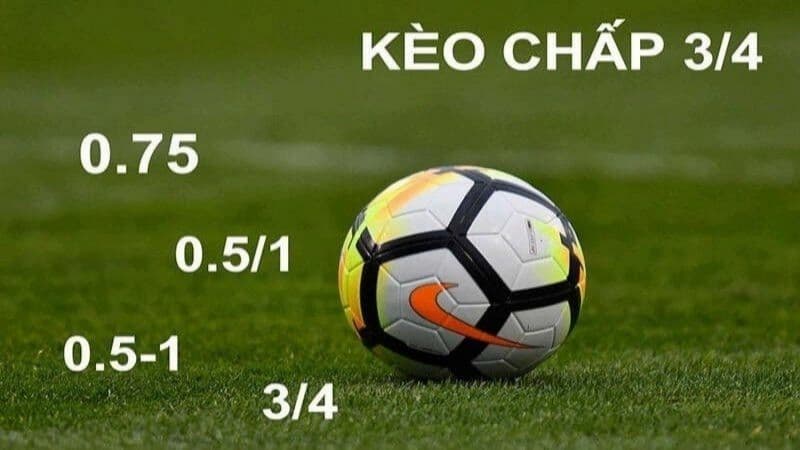 Tỷ lệ kèo nhà cái Cách đọc tỷ lệ kèo nhà cái chuẩn xác