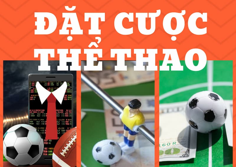 Cá cược thể thao Cách lựa chọn nhà cái phù hợp để cá cược thể thao