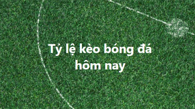 Tỷ lệ kèo nhà cái Tỷ lệ kèo nhà cái là gì?