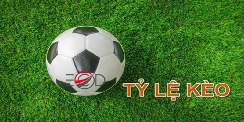 Tỷ lệ kèo nhà cái Vai trò của tỷ lệ kèo nhà cái trong cá cược